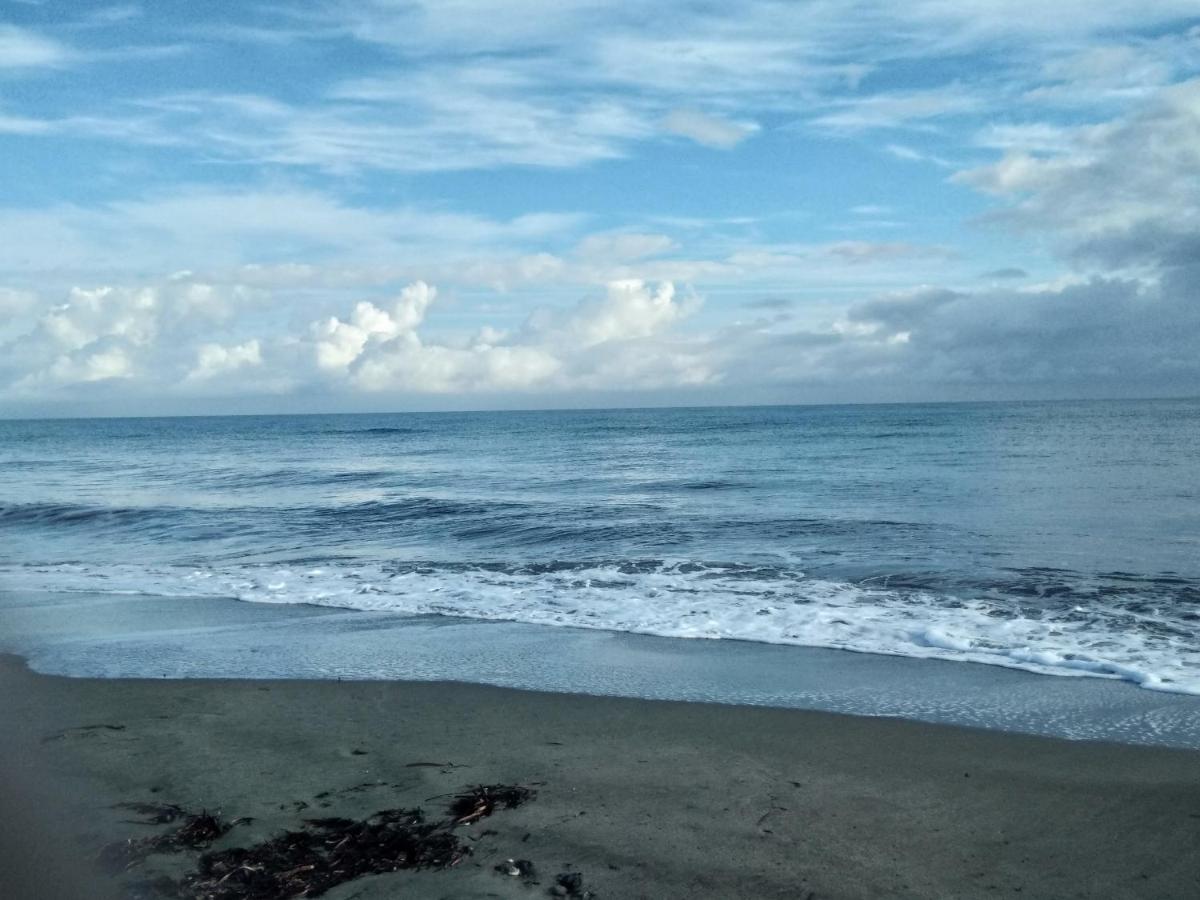 Un Nid Douillet En Bord De Plage !! Lucciana  Eksteriør bilde