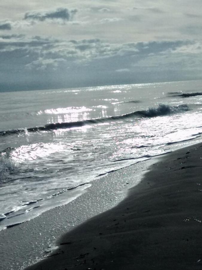 Un Nid Douillet En Bord De Plage !! Lucciana  Eksteriør bilde