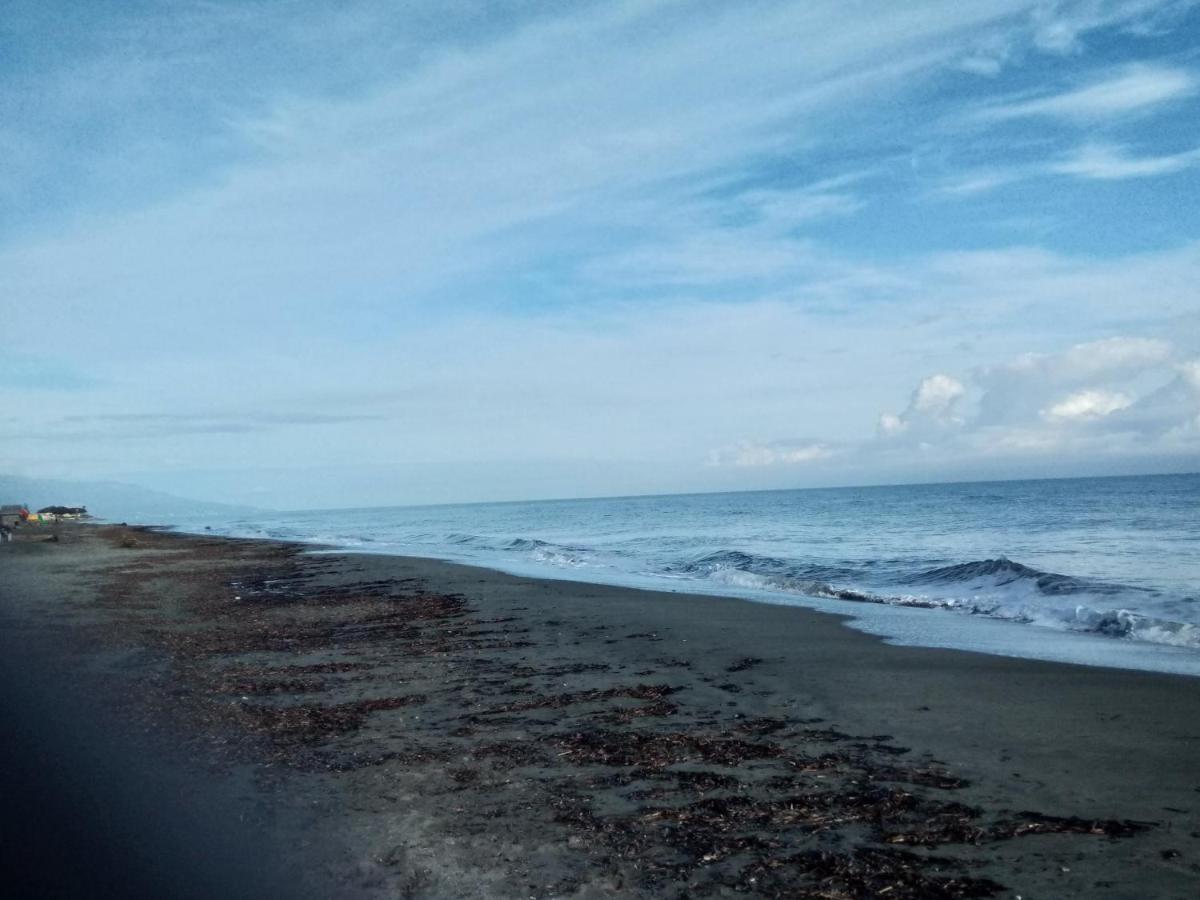 Un Nid Douillet En Bord De Plage !! Lucciana  Eksteriør bilde